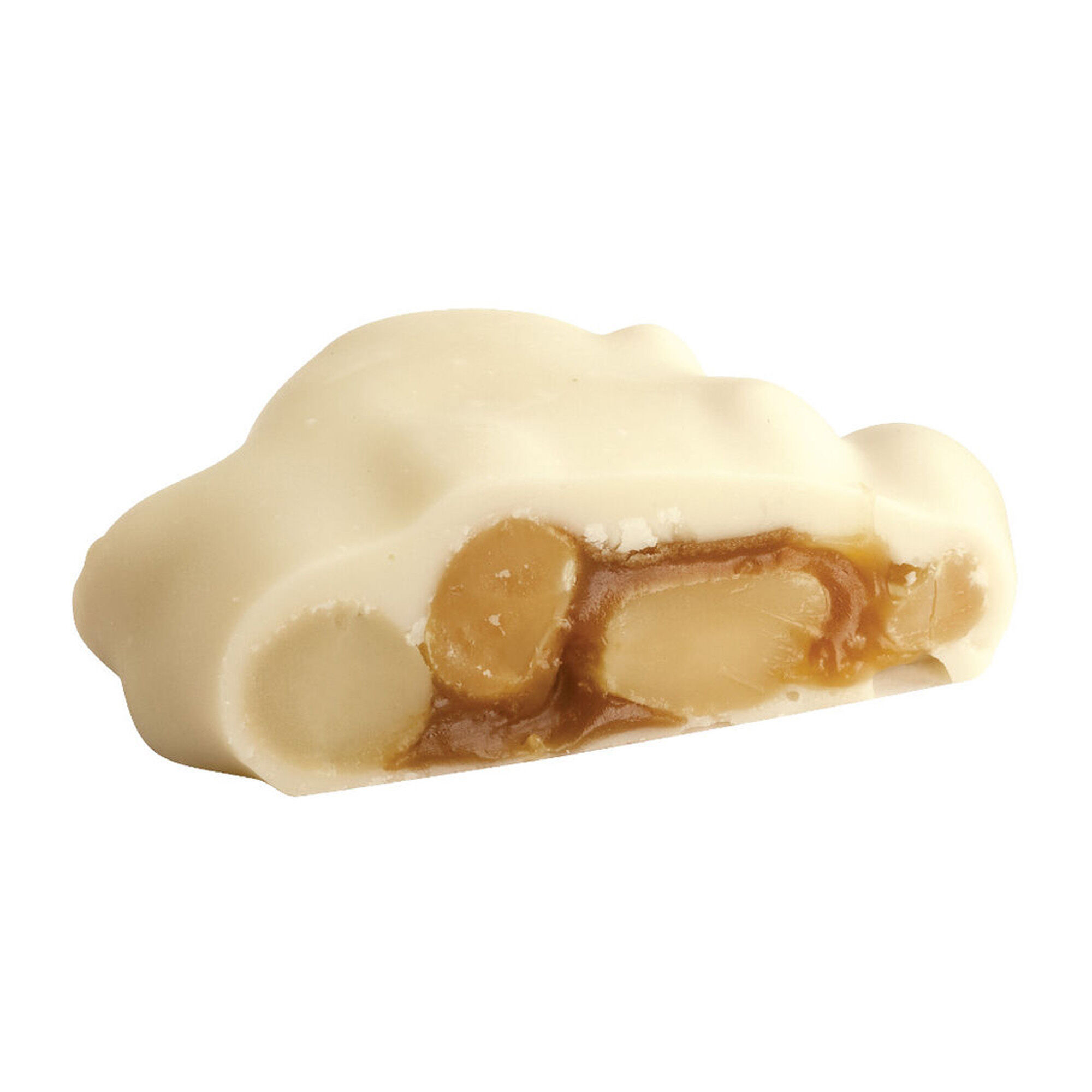 polar-bear-paw-500304-cut.jpg